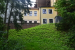 grafika